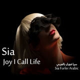 Скачать песню Sia - Joy I Call Life