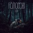 Скачать песню Dovi - Голосові