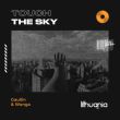 Скачать песню Gaullin - Touch The Sky (feat. Wonga)