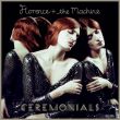Скачать песню Florence + The Machine - Spectrum