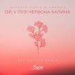 Скачать песню Natalie Gioia & Shkoda - Ой, У Лузі Червона Калина (Get Better Remix)