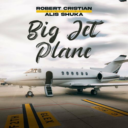 Скачать песню Robert Cristian - Big Jet Plane (feat. Alis Shuka)