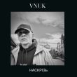 Скачать песню Vnuk - Наскрізь