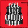 Скачать песню DJ Aligator - Feel Like Coming Home