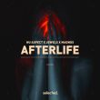 Скачать песню Nu Aspect - Afterlife (feat. Jewels & Magnus)