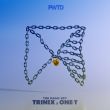 Скачать песню Trinix - The Magic Key (feat. One-T)