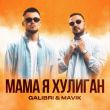 Скачать песню Galibri - Мама, Я Хулиган (feat. Mavik)