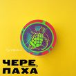 Скачать песню Gvozdini - Черепаха