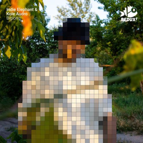 Скачать песню Indie Elephant & Kole Audro - Biglong (Original Mix)