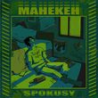 Скачать песню Spokusy - Манекен