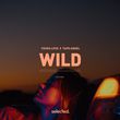 Скачать песню Tough Love - Wild (feat. Tape Angel)