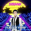 Скачать песню Sobchuk - Тільки Уяви