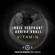 Скачать песню Erika Krall & Indie Elephant - Vitamin (Extended Mix)