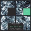 Скачать песню Samuel Sonder & Luke Coulson - I Can Feel You (Max Freegrant & Slow Fish Remix)