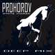 Скачать песню Prohorov - White Horse (Deep Mix)