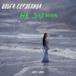 Скачать песню Ольга Серябкина - Не Забыла (Index-1 Remix)