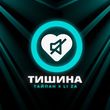 Скачать песню Тайпан - Тишина (feat. Li Za)