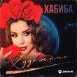 Скачать песню Хабиба - Художник