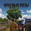 Скачать песню Нейрояги - Красные Розы (feat. Нейрокруг & Нейрошат & АлСми)