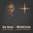 Скачать песню Da Hool & WildChild - Meet Master (Kolya Funk Remix)
