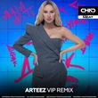 Скачать песню Anna Asti - Дурак (Arteez Vip Remix)