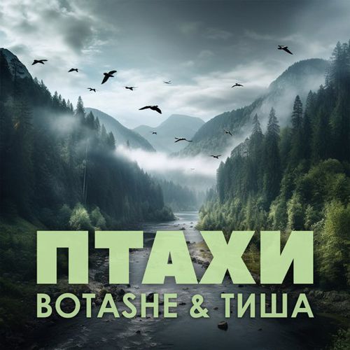 Скачать песню Botashe - Птахи (feat. Тиша)