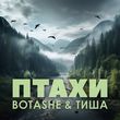 Скачать песню Botashe - Птахи (feat. Тиша)