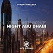 Скачать песню DJ Jedy - Night Abu Dhabi (feat. Hakdeep)