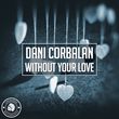 Скачать песню Dani Corbalan - Without Your Love