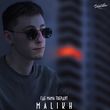 Скачать песню Malikh - Где Мама Твердит