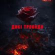 Скачать песню Travinskiy - Дикі Троянди