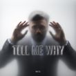 Скачать песню MD DJ - Tell Me Why