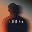 Скачать песню Demchuk - Sorry