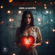 Скачать песню Oneil - Bleeding Love (feat. Kanvise)