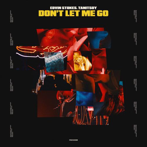 Скачать песню Edvin Stokes - Don't Let Me Go (feat. Tanitsoy)