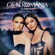 Скачать песню Mira & Theo Rose - Ca-n Romania (DJ Dark Remix)