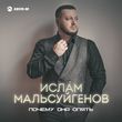 Скачать песню Ислам Мальсуйгенов - Почему Она Опять