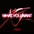 Скачать песню Switch Disco - What You Want