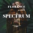 Скачать песню Florence & The Machine - Spectrum (Say My Name) (Marco Generani Remix)