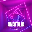 Скачать песню Edward Maya - Anatolia (Radio Edit)