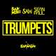 Скачать песню Sak Noel & Salvi feat. Sean Paul - Trumpets (Radio Edit)