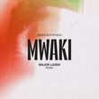Скачать песню Zerb & Sofiya Nzau - Mwaki (Major Lazer Remix)