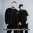 Скачать песню ДжиАш & Вито - Она Влюбилась (Adam Maniac Remix)