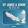 Скачать песню DT James - Wings (feat. Kimbo)