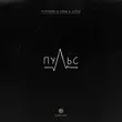 Скачать песню Alemond - Пульс (feat. Айни & Xcho)