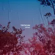 Скачать песню Triticum - Wrong