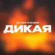 Скачать песню Tural Everest - Дикая (feat. Руслан Добрый)