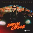 Скачать песню Амина Магомедова - Дикое Сердце