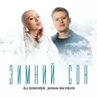 Скачать песню DJ DimixeR - Зимний Сон (feat. Анна Якубук)