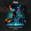 Скачать песню D.Hash - Burning (feat. Ilya Sechkin)